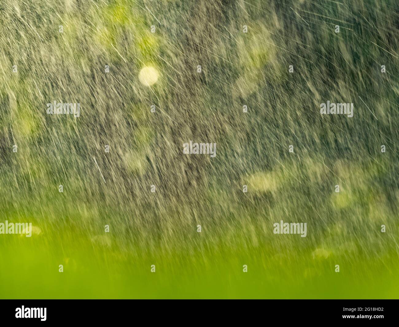 Sprinkler sprühen Wasser auf grünen Garten abstrakten Hintergrund mit Kopierraum. Stockfoto