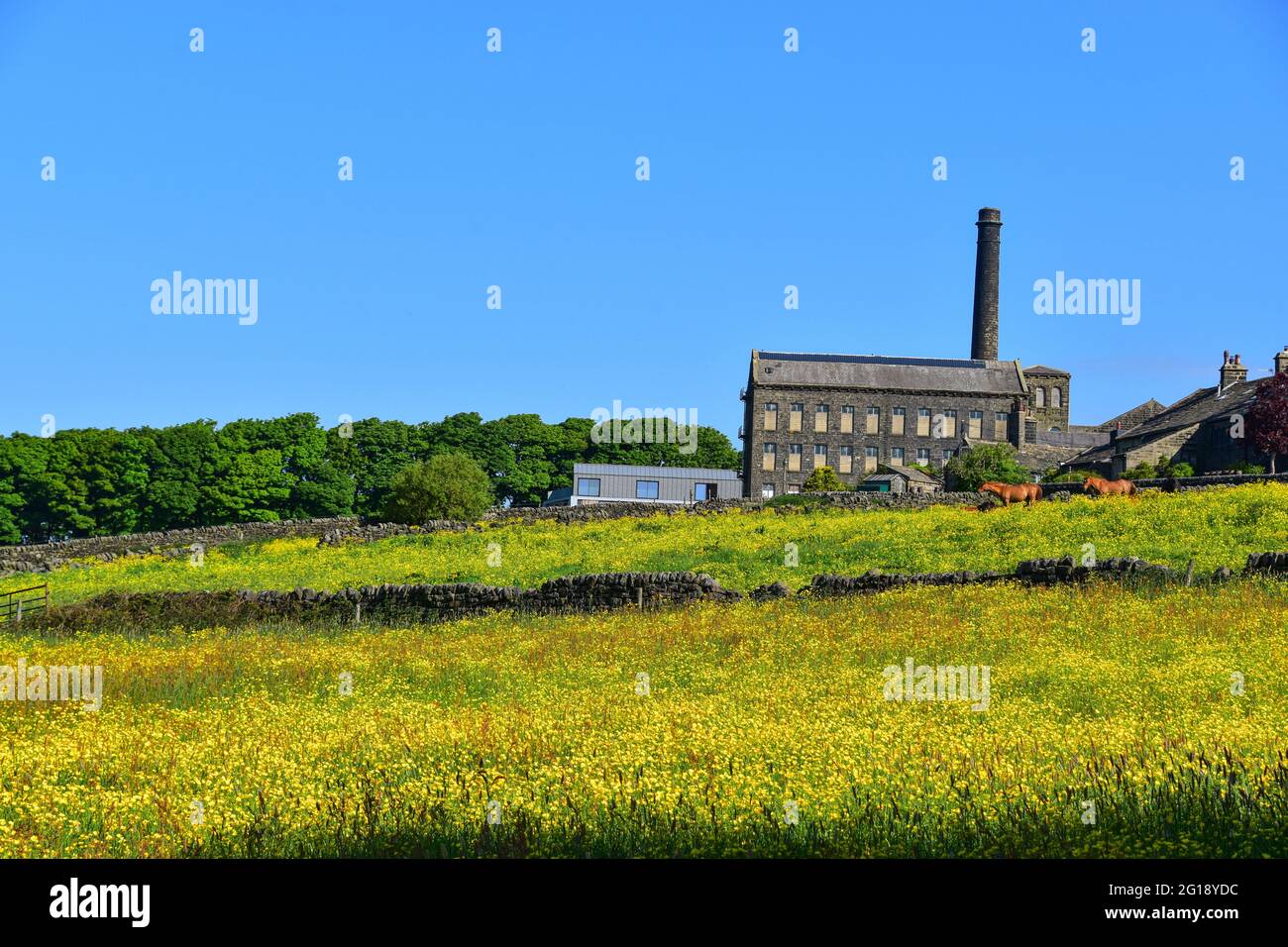 Old Town Mill, Mitchell Mill durch Buttercup Meadow, Hebden Bridge, Calderdale, West Yorkshire Stockfoto