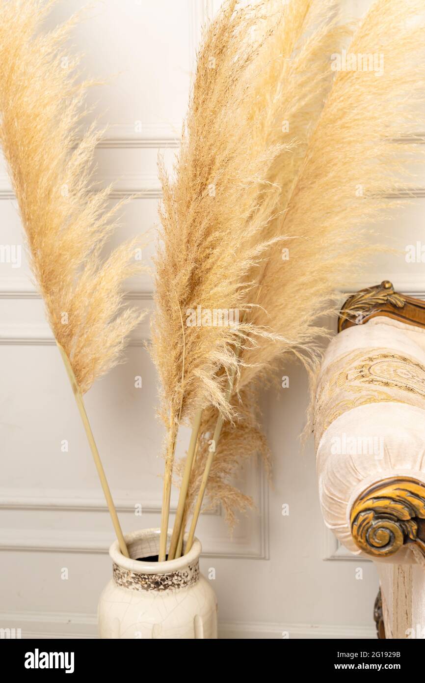 Stilvolles skandinavisches Wohnzimmer-Interieur einer modernen Wohnung mit Pampas Gras und einem gemütlichen Sofa in hellen Farben. Ein Stück beigefarbenes klassisches Sofa und Stockfoto