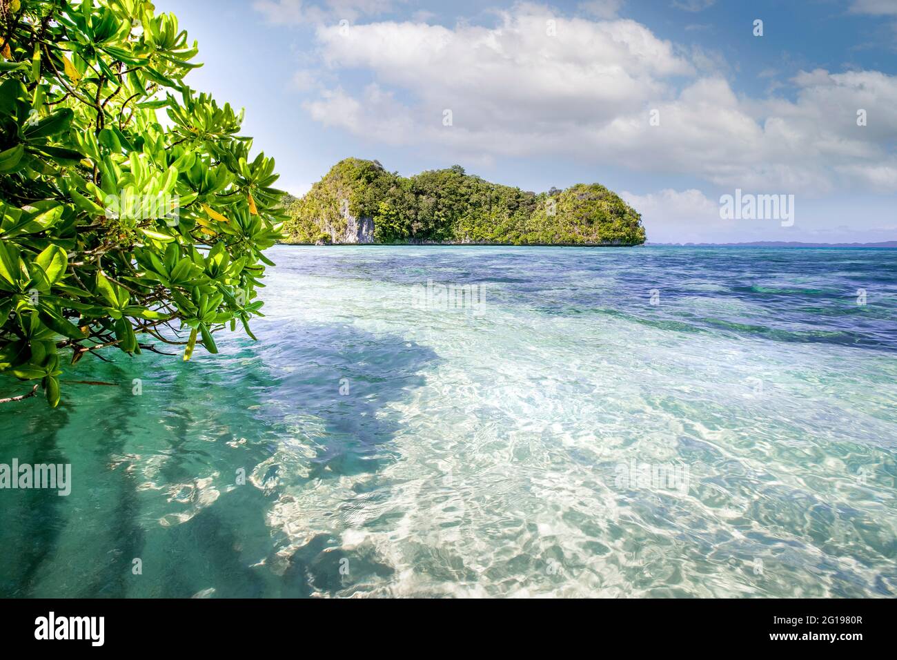 Palm-lined Beach at Palau, Mikronesien, Palau Stockfoto