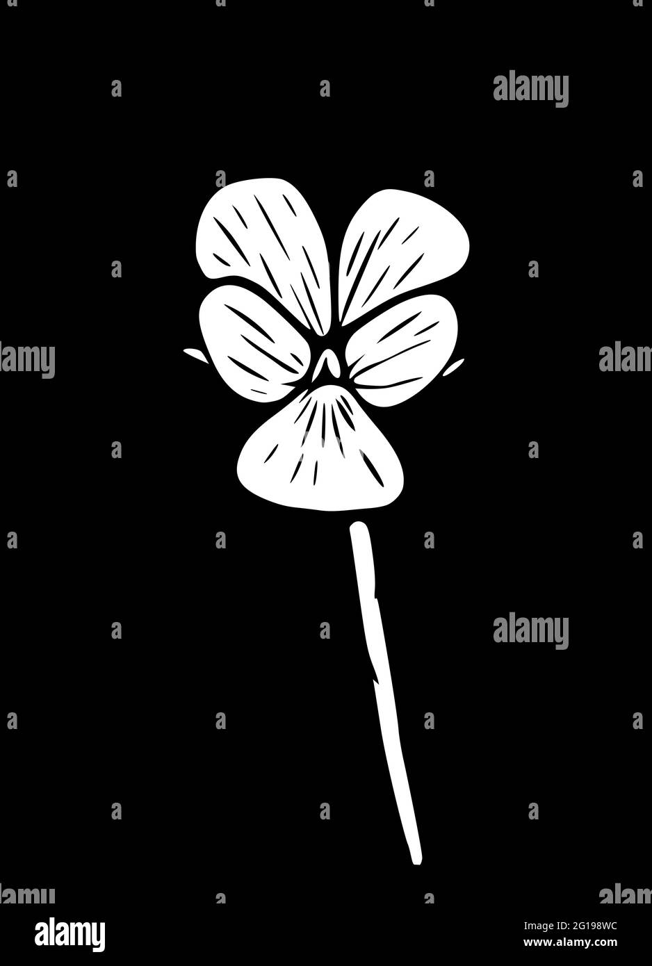 Vektor-Illustration einer Feld violetten Blume. Moderne Blumenkunst, isoliert auf schwarzem Hintergrund. Viola arvensis. Stock Vektor