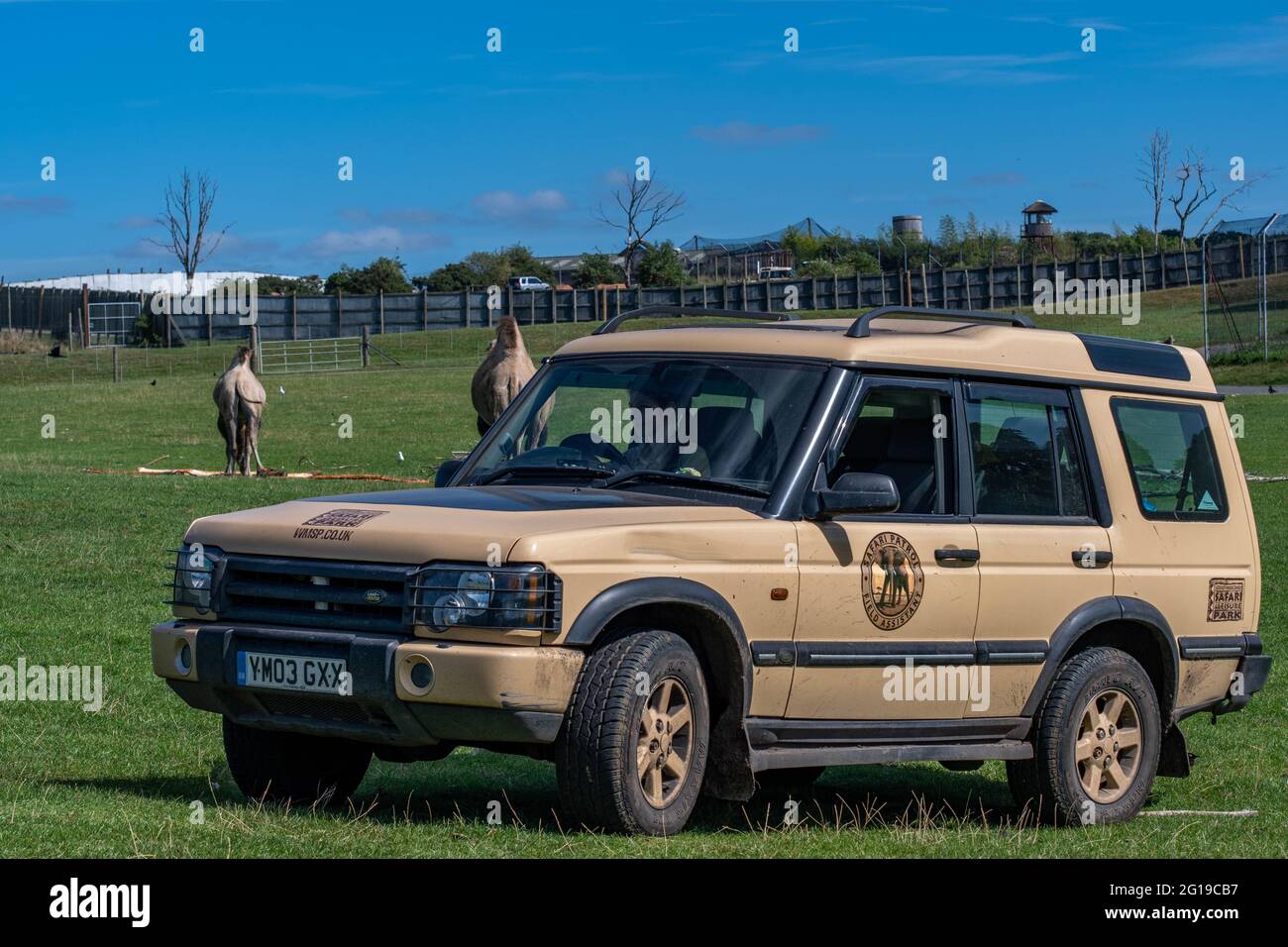 West Midlands Safari Park Theme Park Birmingham England Großbritannien Stockfoto
