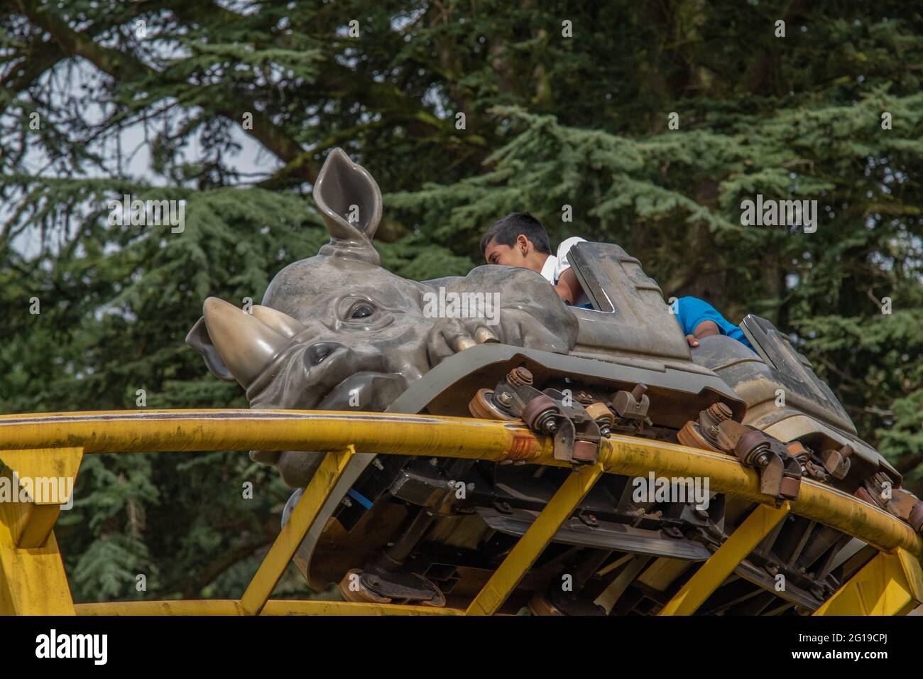 West Midlands Safari Park Theme Park Birmingham England Großbritannien Stockfoto