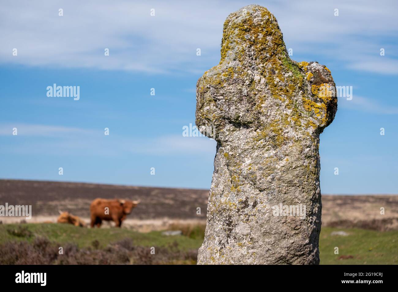 Bennetts Cross bei Headland Warren im Dartmoor National Park, Devon, England Stockfoto