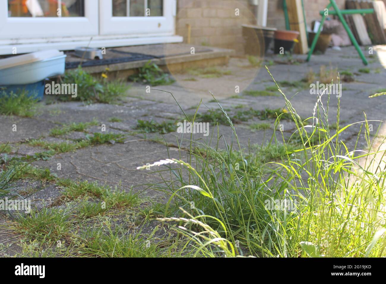 Überwucherte Terrasse mit Unkraut Stockfoto