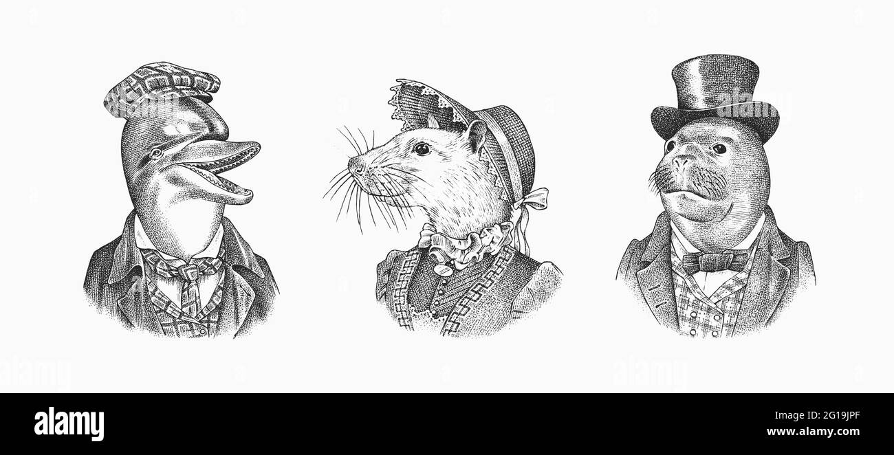 Seal und weiße Maus und Delphin in Hut und Anzug. Viktorianische Frau und Mann. Meeressäuger. Modischer Tiercharakter. Handgezeichnete Skizze. Graviert Stock Vektor