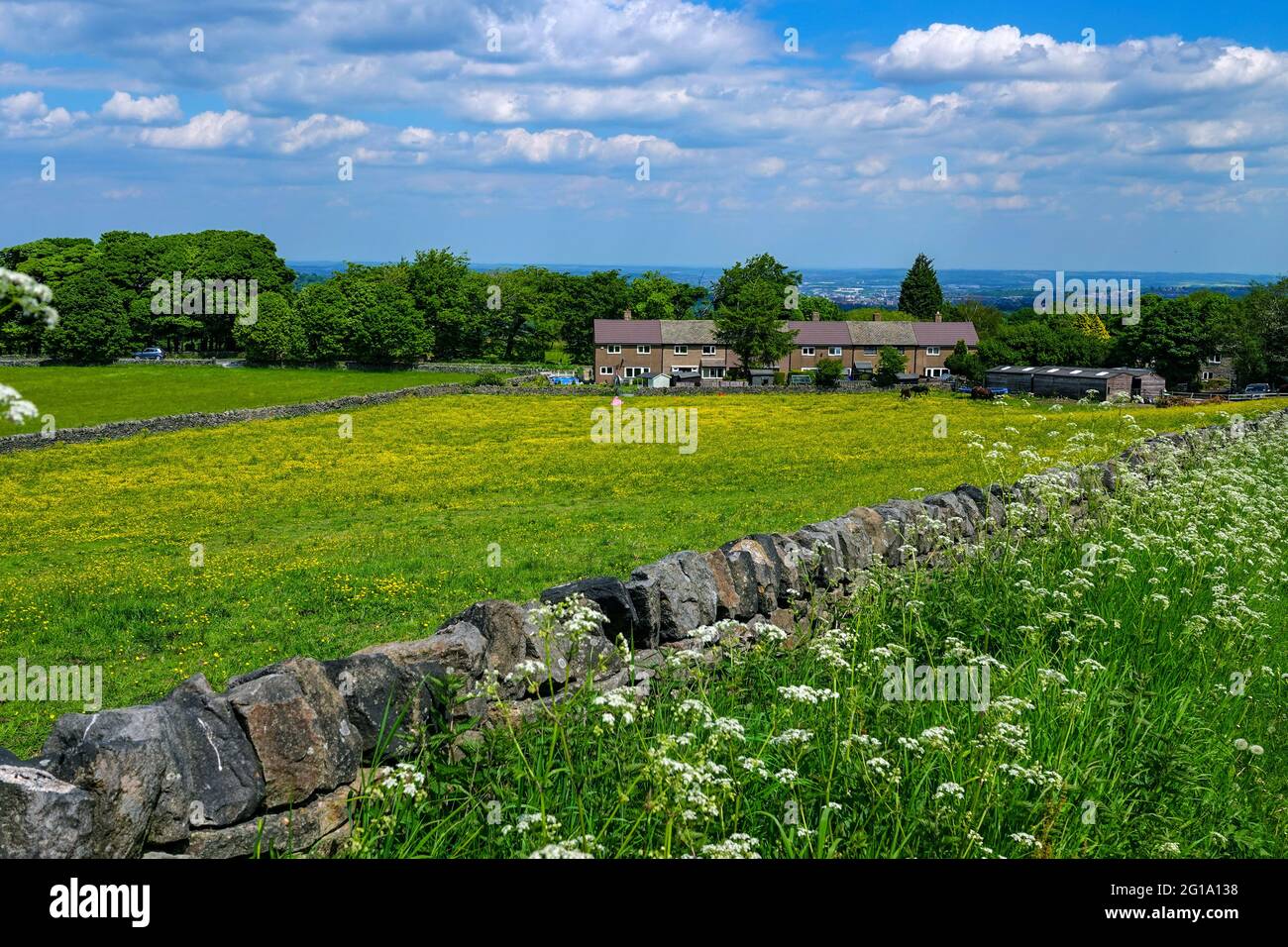 Sommer in Ringinglow, in der Nähe von Sheffield, South Yorkshire, Nordengland, Großbritannien Stockfoto