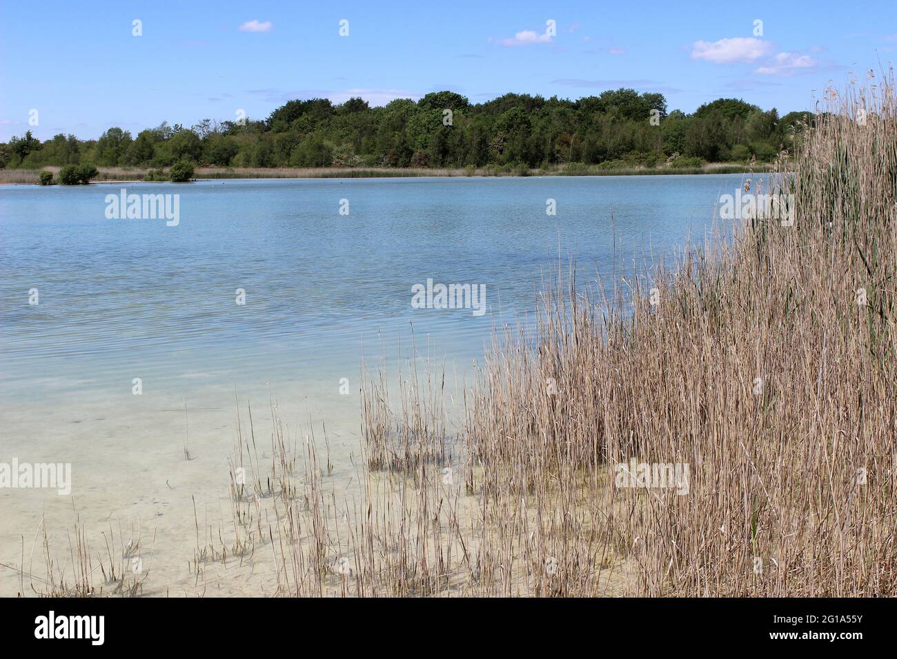 Neumanns Flash, Teil der Northwich Woodlands. Stockfoto