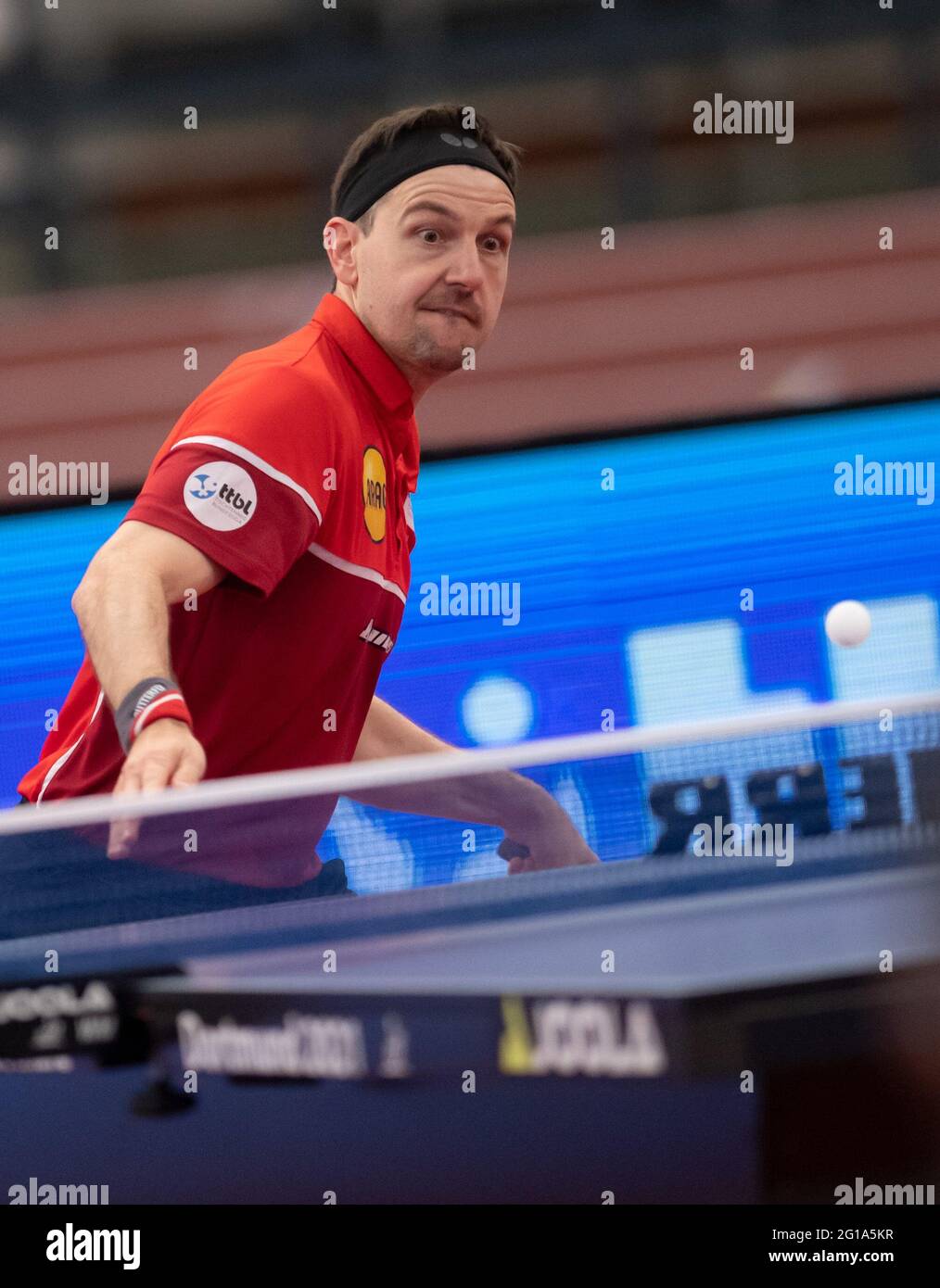 Dortmund, Deutschland. Juni 2021. Finale 2021 - Tischtennis Bundesliga Finale Borussia Düsseldorf - 1. FC Saarbrücken TT in der Helmut Körnig Halle: Düsseldorfs Timo Boll in Aktion. Quelle: Bernd Thissen/dpa/Alamy Live News Stockfoto