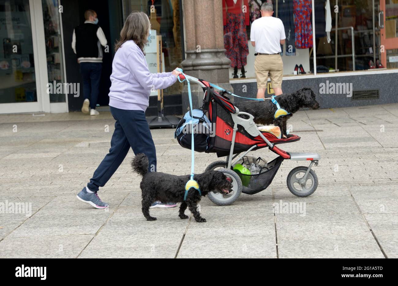 Frau mit Hunden, einer im Kinderwagen Stockfoto