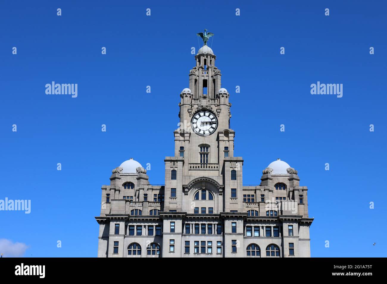 Royal Liver Building in Liverpool Stockfoto