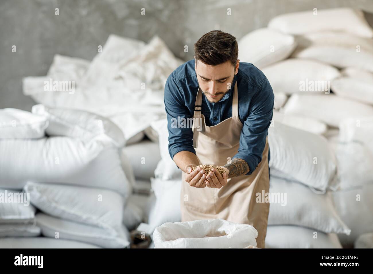 Qualitätsrohstoffe für die Bierherstellung, Getreidekontrolle für kleine Unternehmen Stockfoto