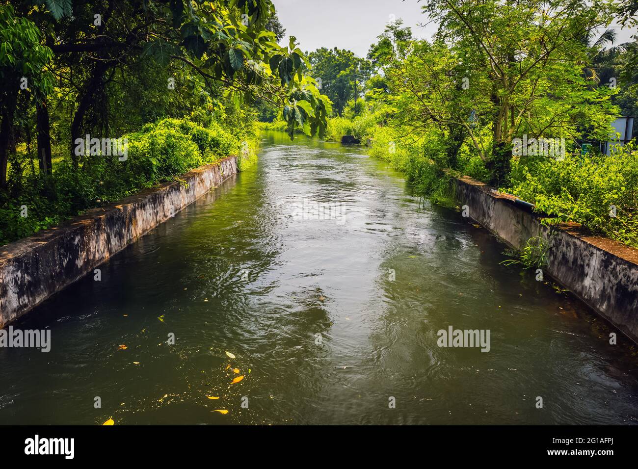 Natur Wasserkanal in der Nähe ulakkai aruvi in der Nähe von Nagercoil, Kanyakumari, Tamilnadu Indien. Stockfoto