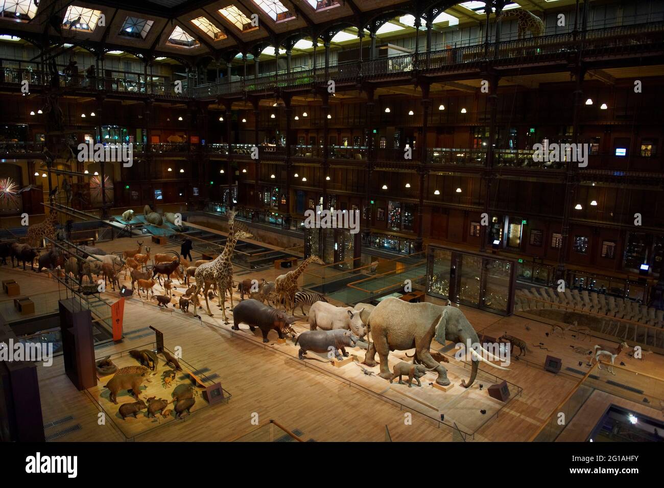 Jardin Des Plantes Grande Galerie De L évolution Frankreich, Paris, Jardin des Plantes, Grande Galerie de l Evolution