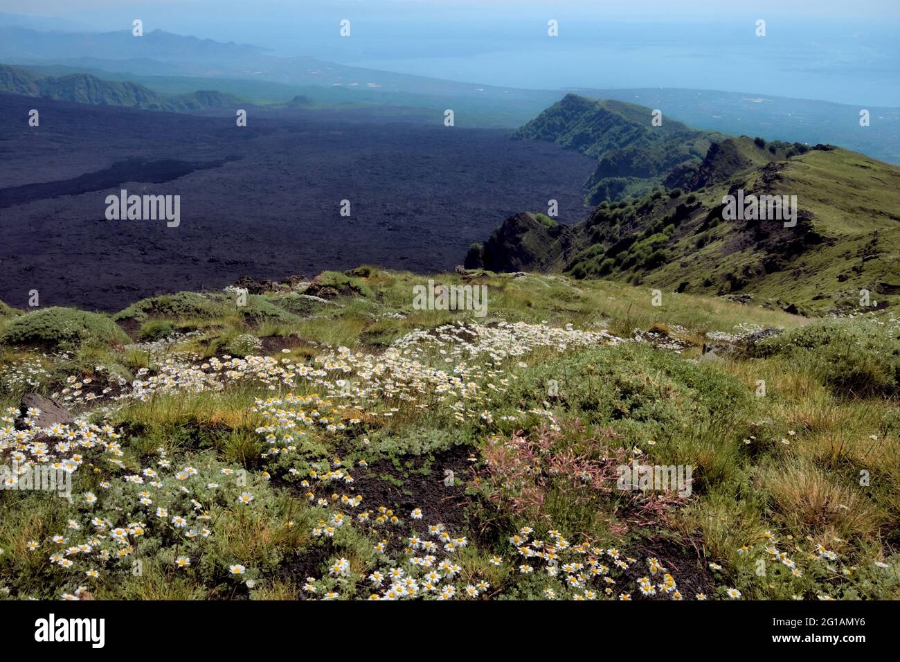 Frühling Hochgebirgslandschaft von Sizilien Wiese in Blume von Gänseblümchen mit Blick auf das 'Bove'-Tal im Ätna Park Stockfoto
