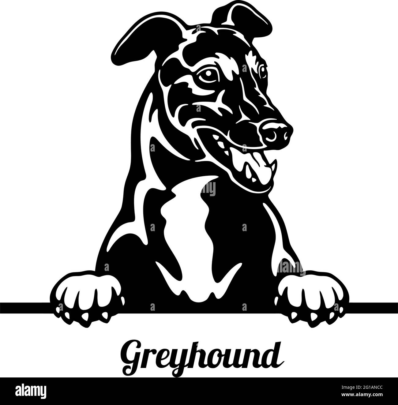 Greyhound Peeking Dog - Kopf isoliert auf weißem - Vektorstock Stock Vektor