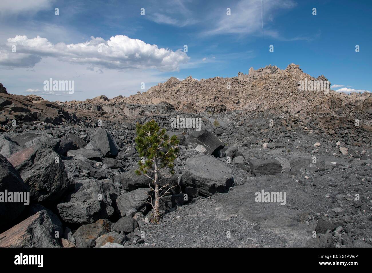 Obsidian Dome ist ein massiver Haufen glänzendem Obsidian-Gesteins in der östlichen Sierra von Mono County, CA, USA. Stockfoto