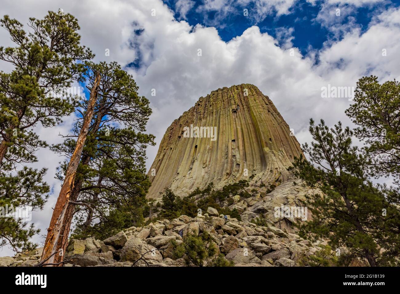 Blick auf den Devils Tower von einem Pfad, der um den Gipfel führt, Devils Tower National Monument, Wyoming, USA Stockfoto