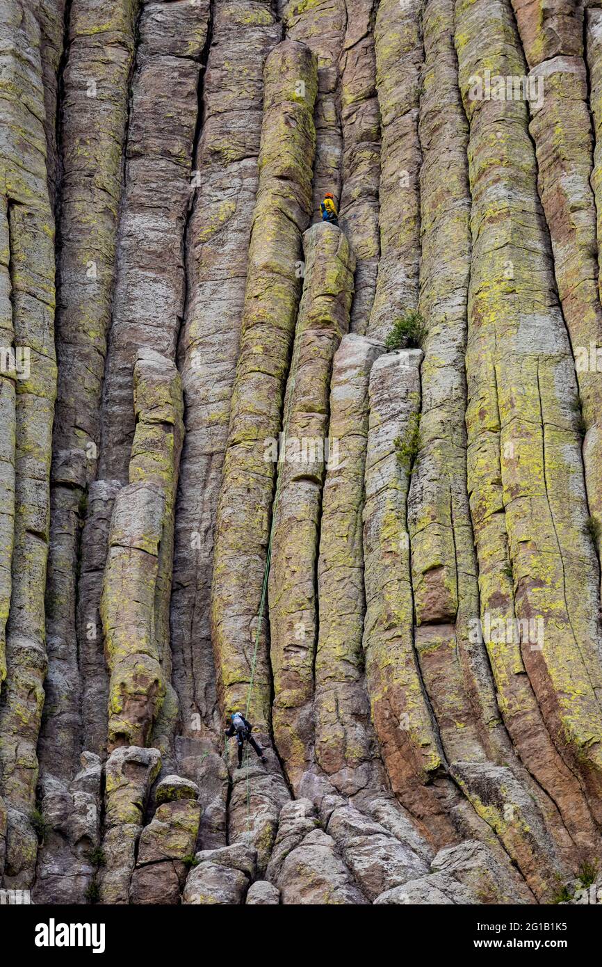 Climbers on the Cracks of Devils Tower im Devils Tower National Monument, Wyoming, USA [Keine Model-Veröffentlichung; nur für redaktionelle Lizenzierung verfügbar] Stockfoto