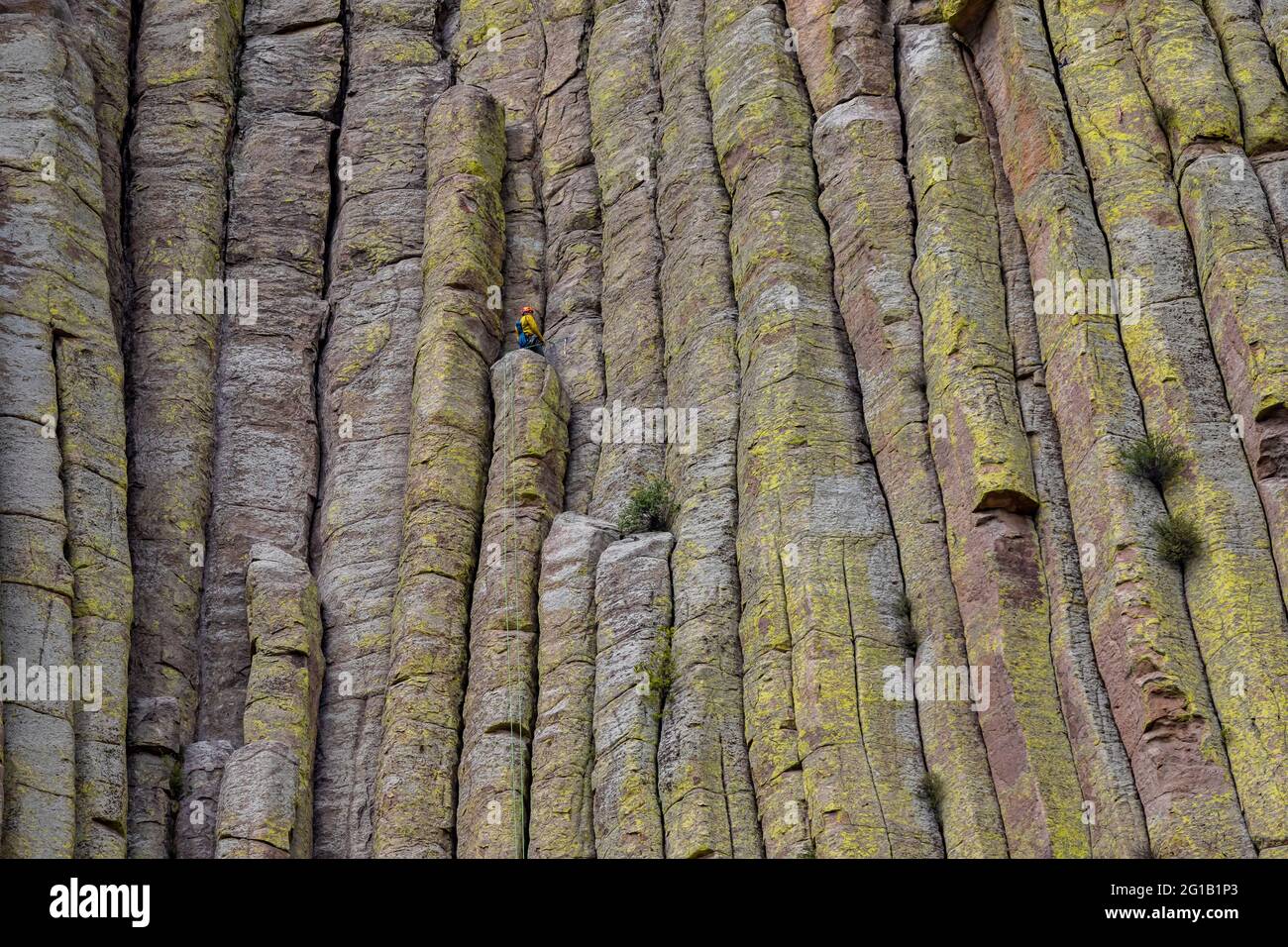 Climbers on the Cracks of Devils Tower im Devils Tower National Monument, Wyoming, USA [Keine Model-Veröffentlichung; nur für redaktionelle Lizenzierung verfügbar] Stockfoto