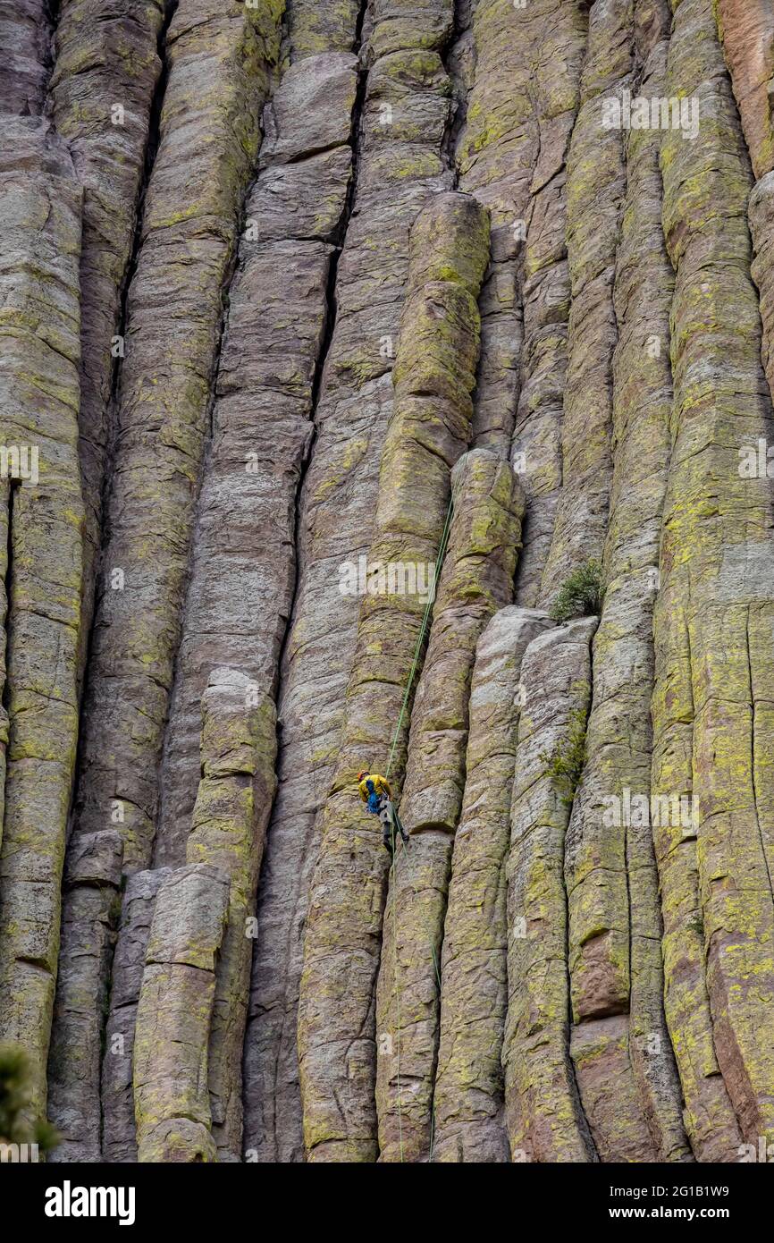 Climbers on the Cracks of Devils Tower im Devils Tower National Monument, Wyoming, USA [Keine Model-Veröffentlichung; nur für redaktionelle Lizenzierung verfügbar] Stockfoto