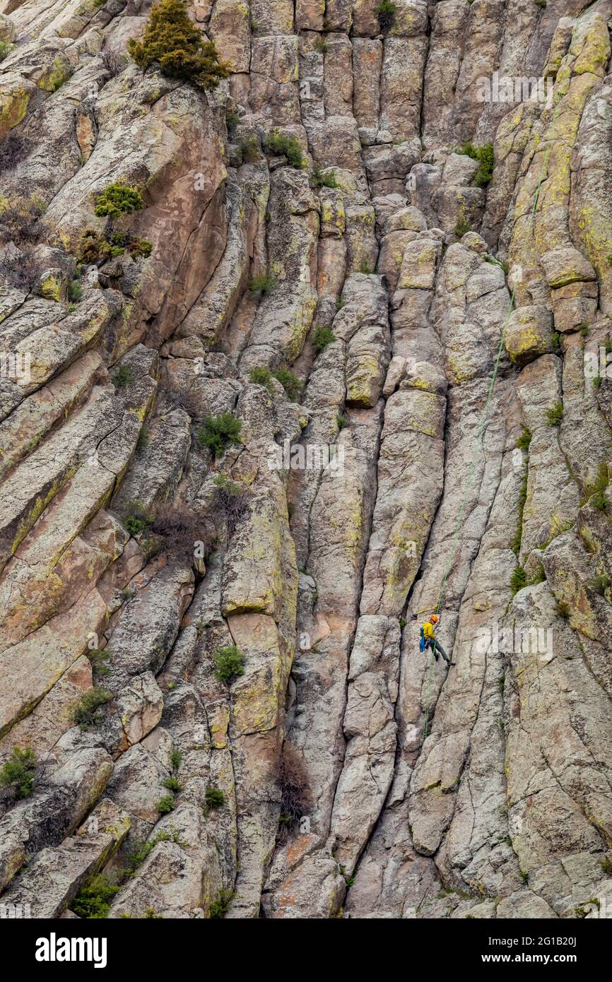 Climbers on the Cracks of Devils Tower im Devils Tower National Monument, Wyoming, USA [Keine Model-Veröffentlichung; nur für redaktionelle Lizenzierung verfügbar] Stockfoto