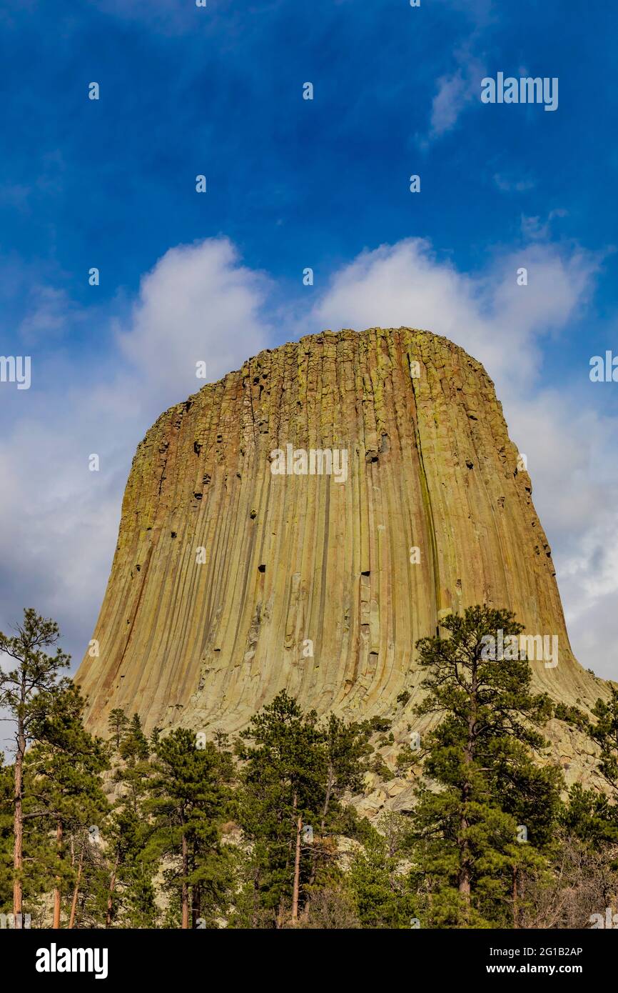 Blick auf den Devils Tower von einem Pfad, der um den Gipfel führt, Devils Tower National Monument, Wyoming, USA Stockfoto