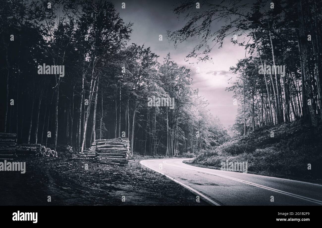 Eine geheimnisvolle, düstere Serpentine inmitten des Waldes im wunderschönen Lubkowo in Polen - Eine unvergessliche Nacht - Holzhaufen - Serpetine Slenderman. Stockfoto