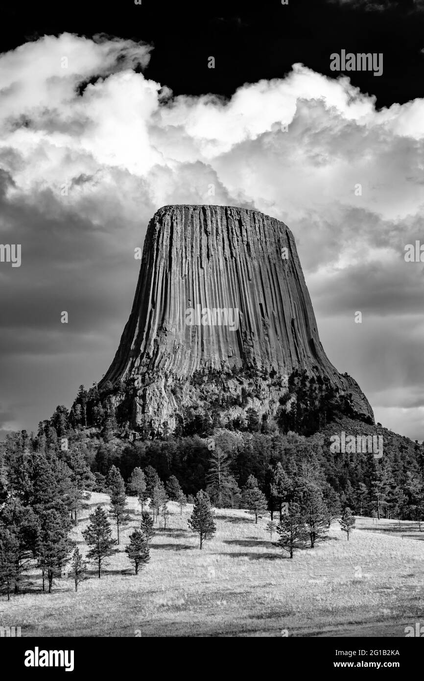 Dramatische Aussicht auf den Devils Tower vom Joyner Ridge im Devils Tower National Monument, Wyoming, USA Stockfoto