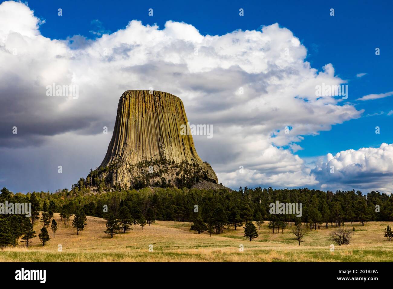 Dramatische Aussicht auf den Devils Tower vom Joyner Ridge im Devils Tower National Monument, Wyoming, USA Stockfoto