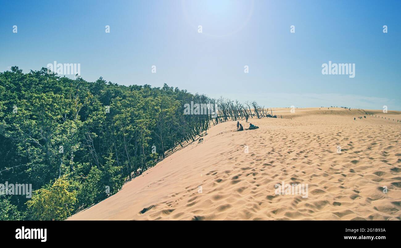 Naturschutzgebiet Ying Yang an der Küste von Łeba (Leba) an der Lontzkedüne (polnisch: Wydma Łącka). Die Wüste Polens, die Dünen der Ostsee. Stockfoto