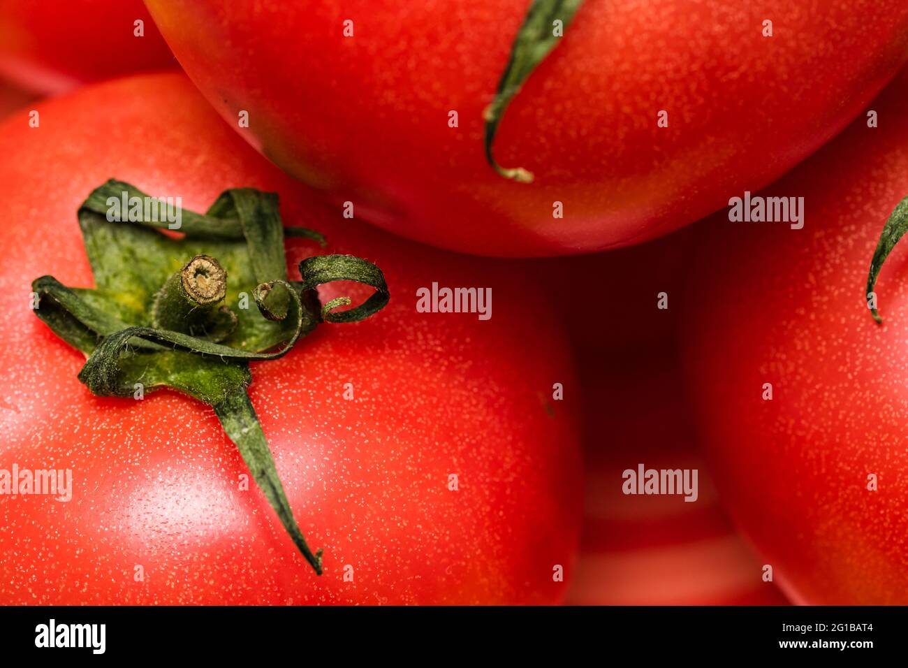Eine frische, leckere und rote Tomate Stockfoto