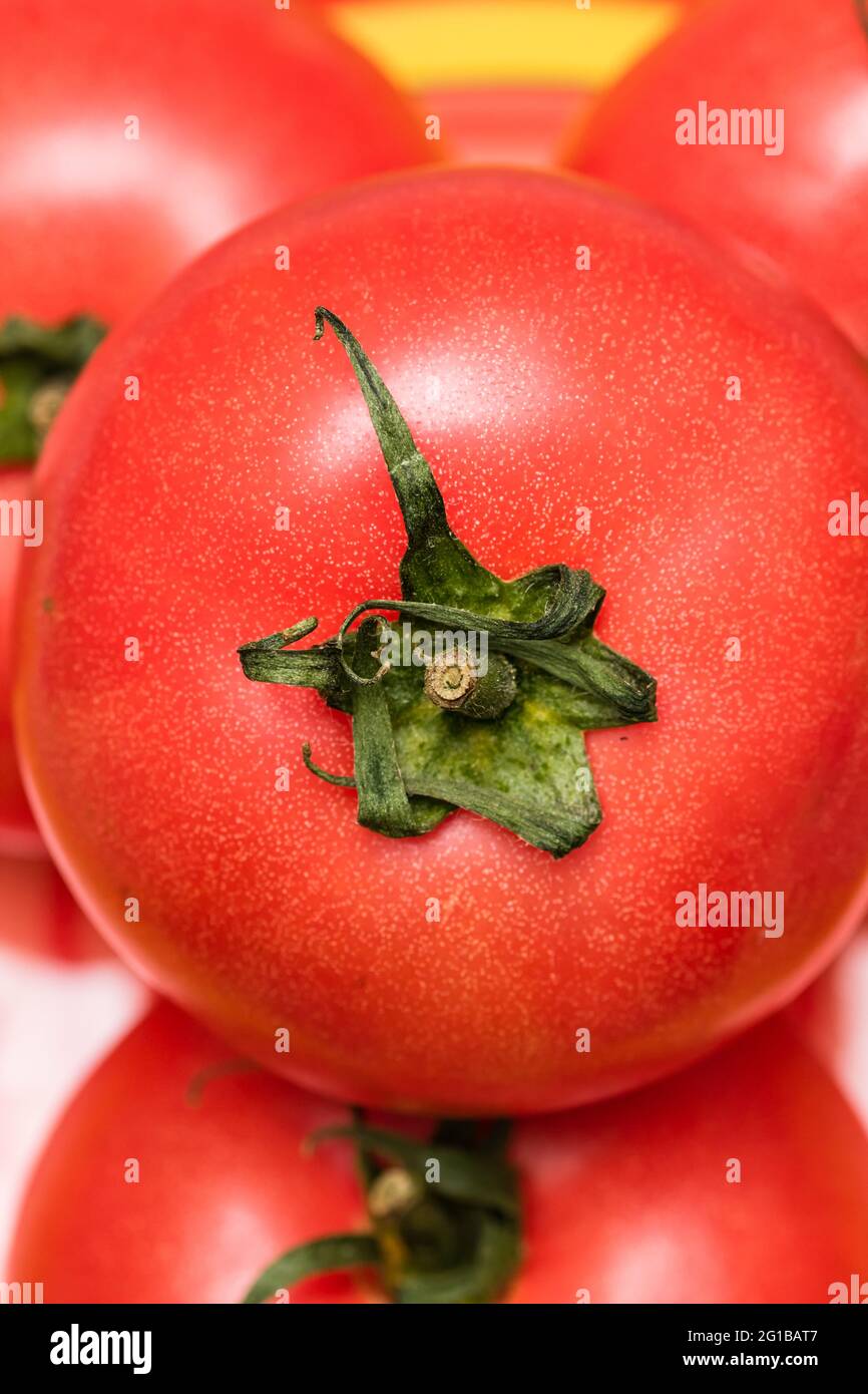 Eine frische, leckere und rote Tomate Stockfoto