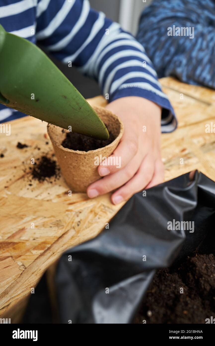 Ernte anonyme Kind mit Gartenschaufel Füllung Öko-Tasse mit Erde am Tisch Stockfoto