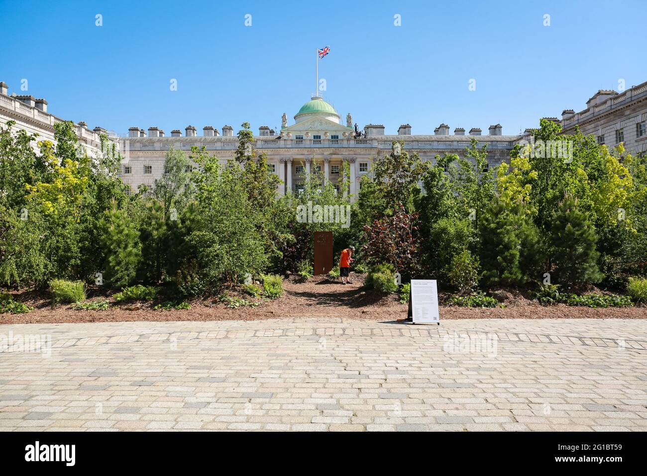 London, Großbritannien. 01 Juni 2021. Kunstinstallation Forest for Change von Es Devlin auf der London Design Biennale 2021 im Somerset House. Quelle: Waldemar Sikora Stockfoto