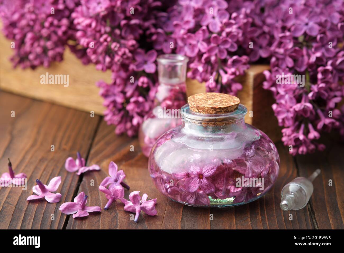 Ölflaschen oder Aufguss aus lila Fliederblüten auf Holztisch. Stockfoto