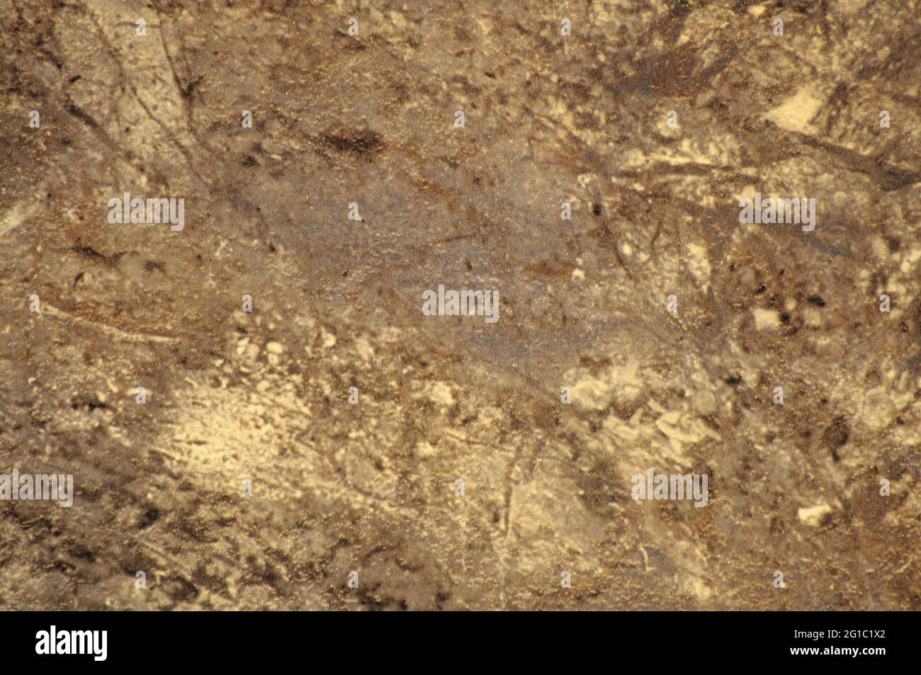 Dunkelbrauner Achat mit feinen schwarzen und weißen Adern und Flecken. Hintergrund, Muster, Textur. Stockfoto