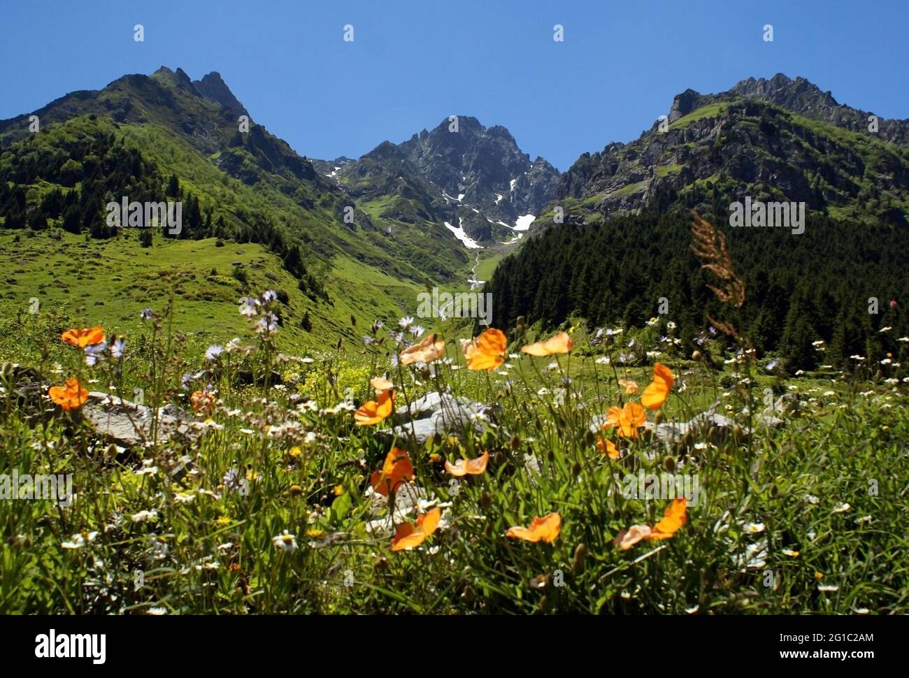 Schönheiten in Natur Schönheiten in Natur