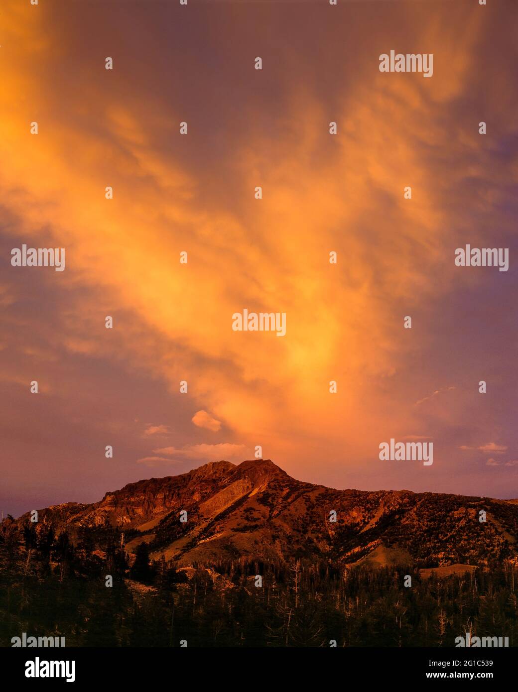 Sonnenuntergang, Silver Peak, Carson-Iceberg Wüste, Stanislaus National Forest, Sierra Nevada, Kalifornien Stockfoto