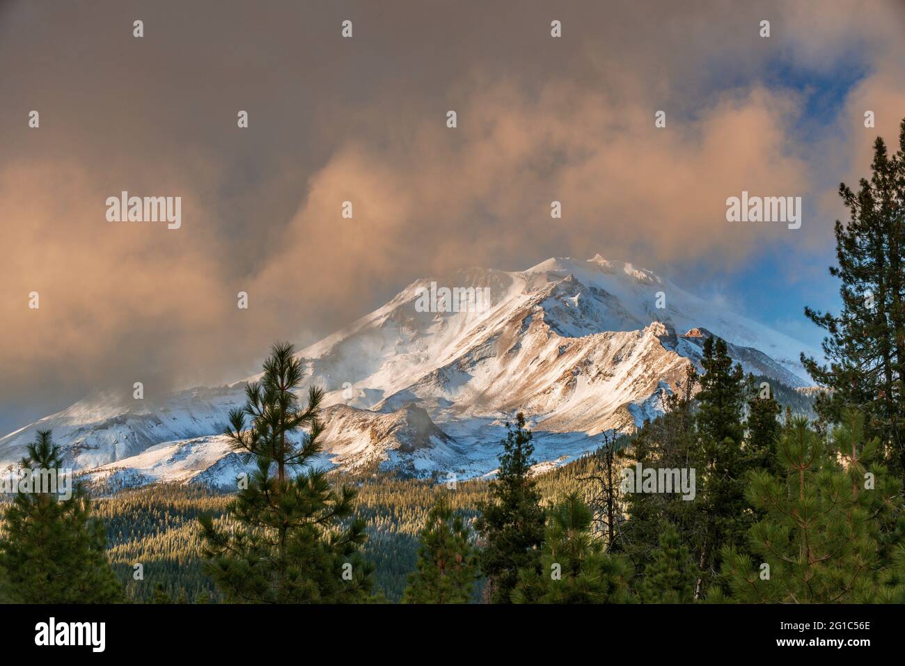 Mount Shasta, Shasta-Trinity National Forest, Kalifornien Stockfoto