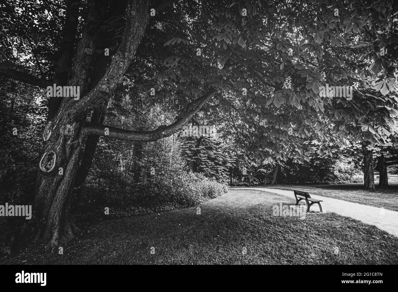 Park im schönen Schlosspark auf Schloss Borbeck. Gehweg mit Bank im Sommer mit saftig grünen Wiesen und Wäldern. Ruhrpott Ruhrgebiet. Stockfoto