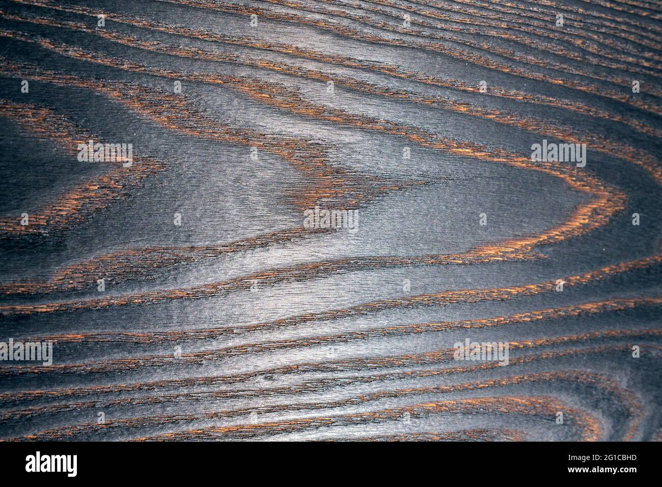 Natürliche Schönheit von verbranntem Holz, polierte tiefschwarze Holzplatte in extremer Nahaufnahme Stockfoto