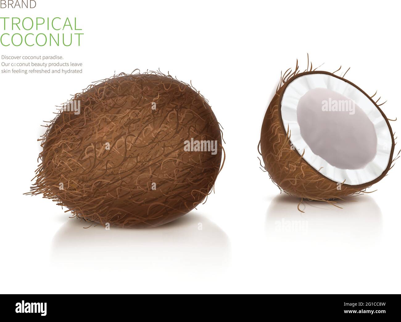Kokos realistische Vektor-Illustration, ganze und halb gebrochene Kokosnuss mit Reflexion, isoliert auf weißem Hintergrund, und Markenlabel. Set zum Verpacken von Naturkost und Bio-Kosmetik. Stock Vektor