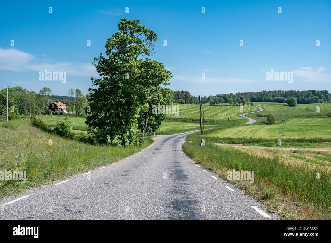 Kurvenreiche Landstraße an einem sonnigen Sommertag in der Landschaft von Södermanland Schweden Stockfoto