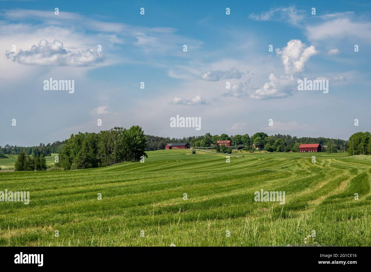 Sonniger Sommertag am 6. Juni 2021 im Södermanland Schweden Stockfoto