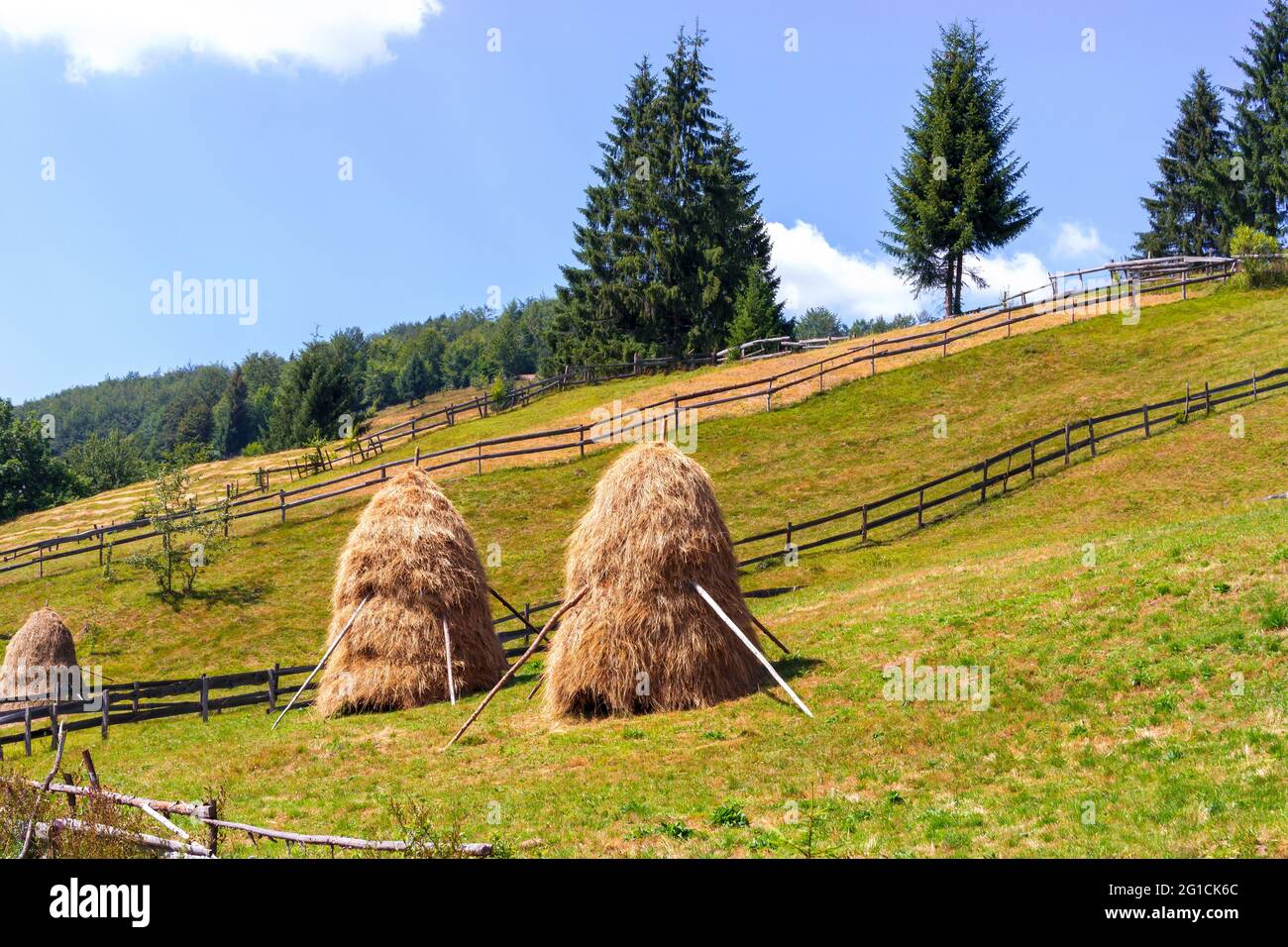 Siebenbürgische Berge mit typischen Ballen am Hang, Bihar-Gebirge, Karpaten in Rumänien Stockfoto