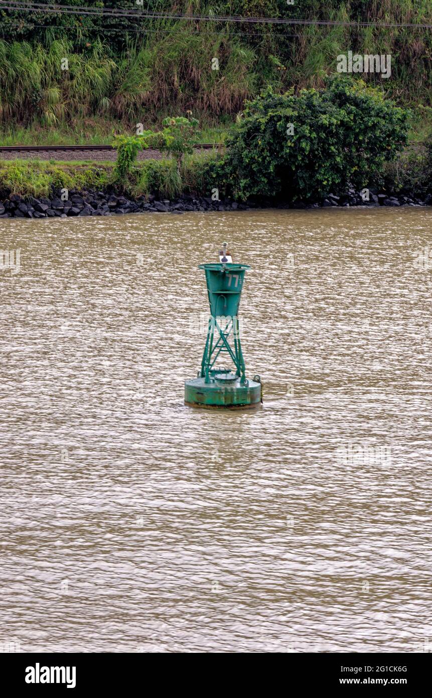 Segeln zum Gatun See, Panama Kanal, Panama, Mittelamerika - tropischer Regenwald in Panama Stockfoto