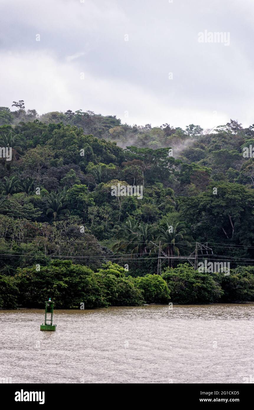 Segeln zum Gatun See, Panama Kanal, Panama, Mittelamerika - tropischer Regenwald in Panama Stockfoto