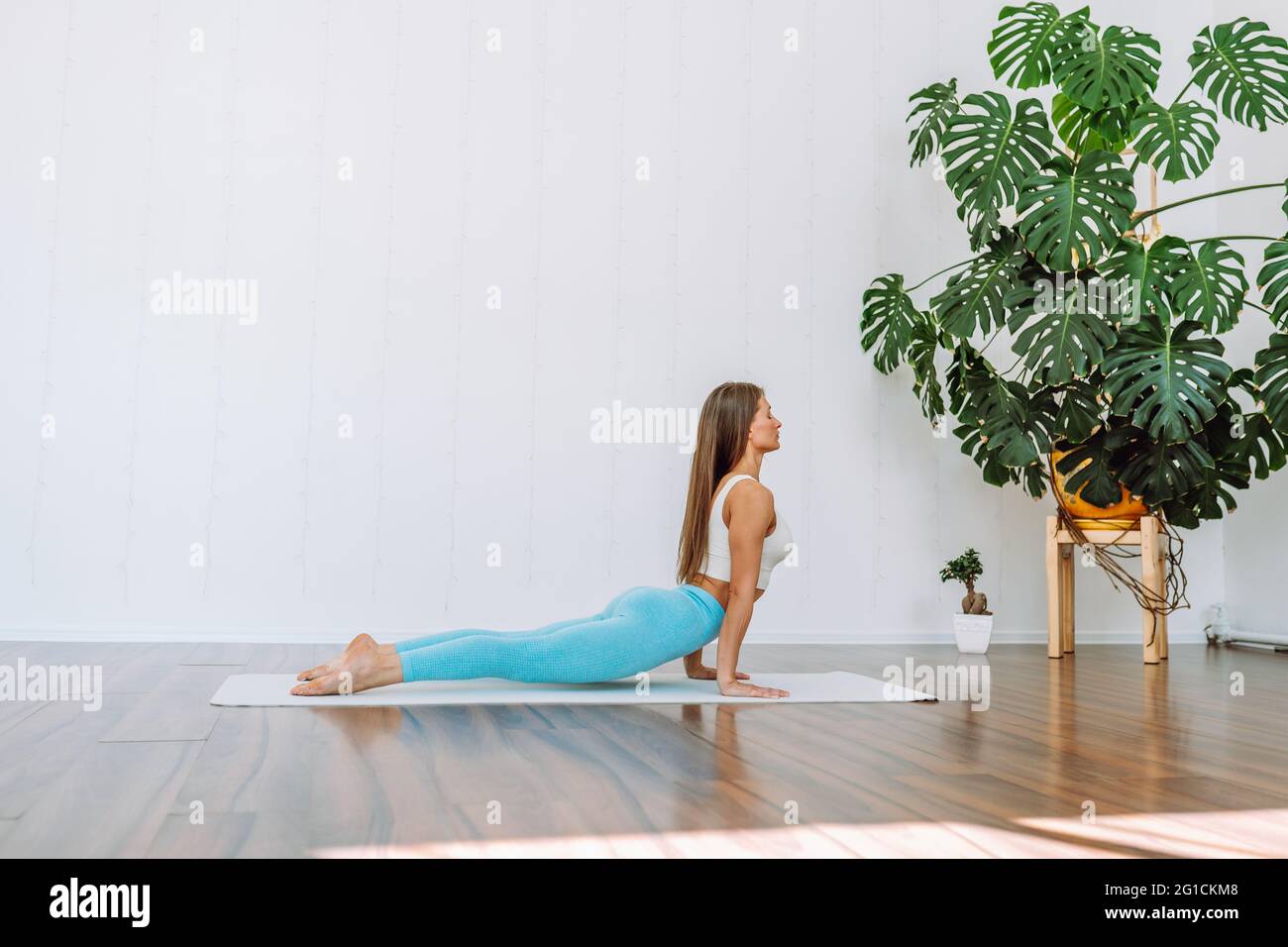 Junge Frauen machen im hellen Raum komplexe Dehnübungen für Yoga auf dem Boden. Positiv, Meditation, Konzentrat. Urdhva Mukha Svanasana - Nach Oben Gerichtet Stockfoto