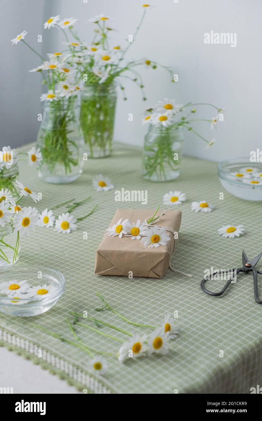 Öko-Produkt in Kraftpapier in den Händen der Frauen eingewickelt. Auf dem Tisch zu Hause. Hochwertige Fotos Stockfoto